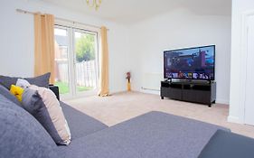 Intellect Suites